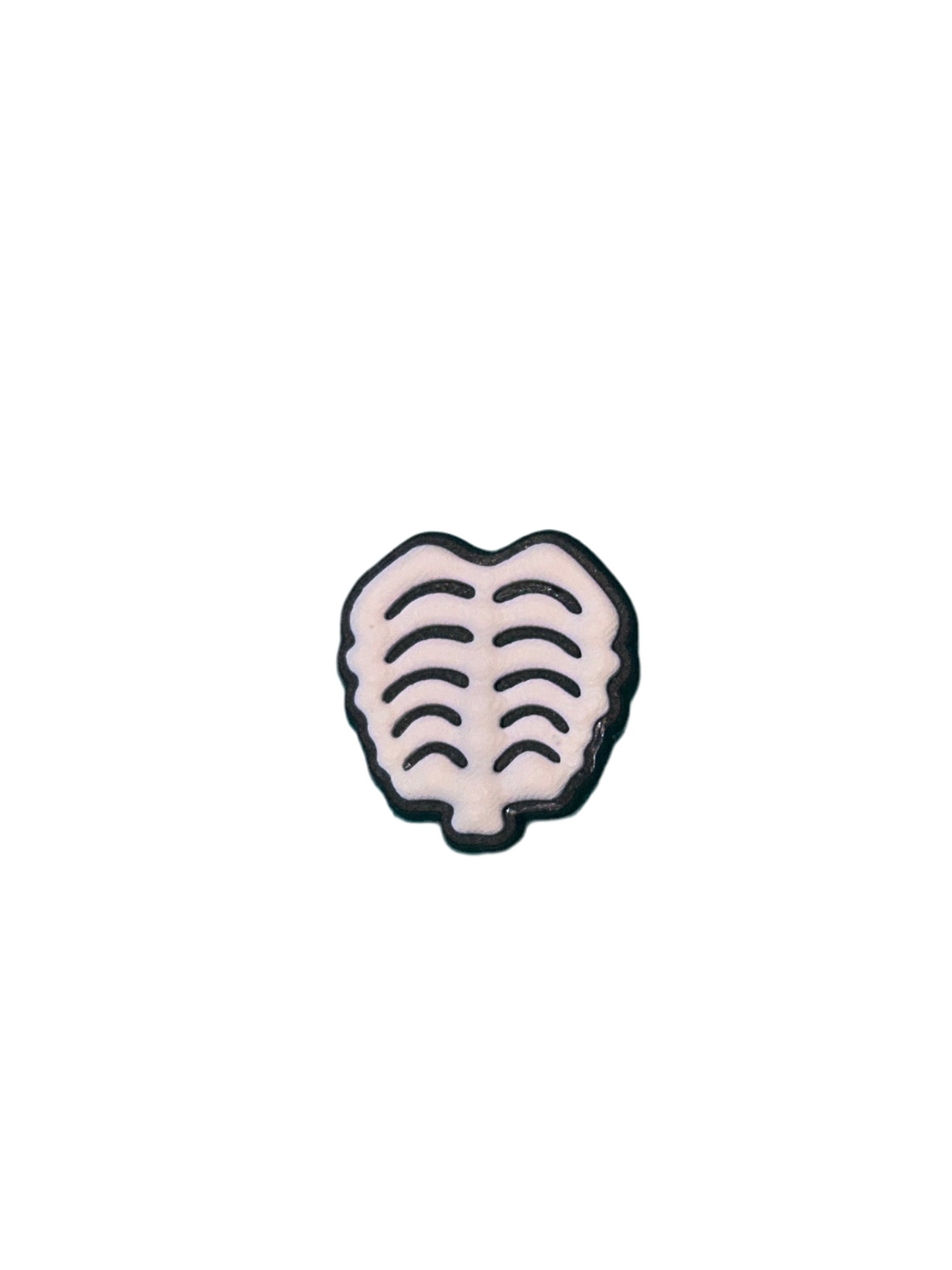 Skeleton rib cage