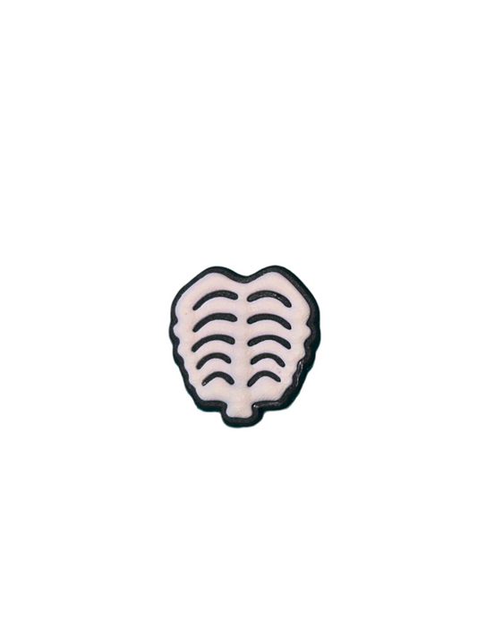 Skeleton rib cage